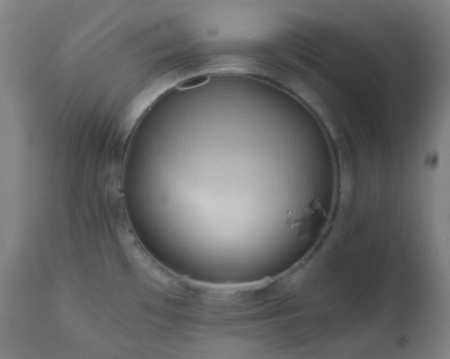 X0000111031481200906251253