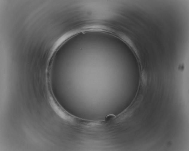 X0000111031482200906251253
