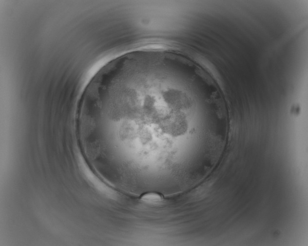 X0000111031483200906251253