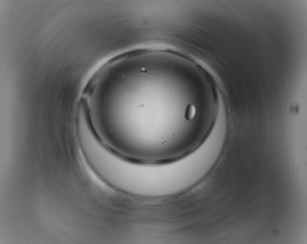 X0000111031484200906251253
