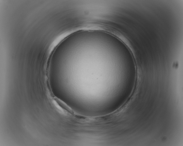 X0000111031485200906251253