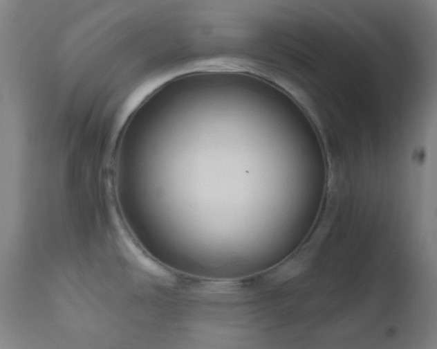 X0000111031486200906251253