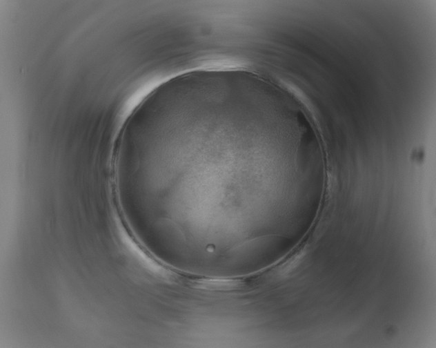 X0000111031487200906251253