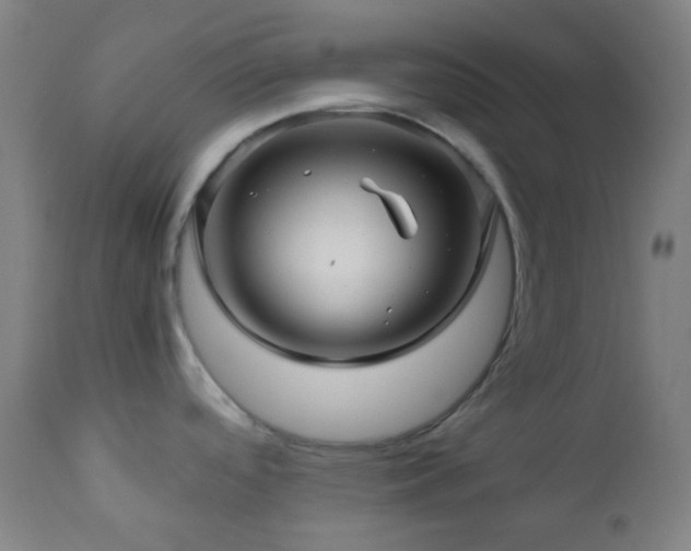 X0000111031488200906251253