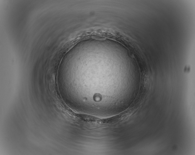 X0000111031489200906251253