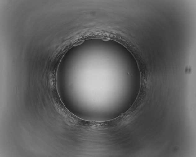X0000111031490200906251253