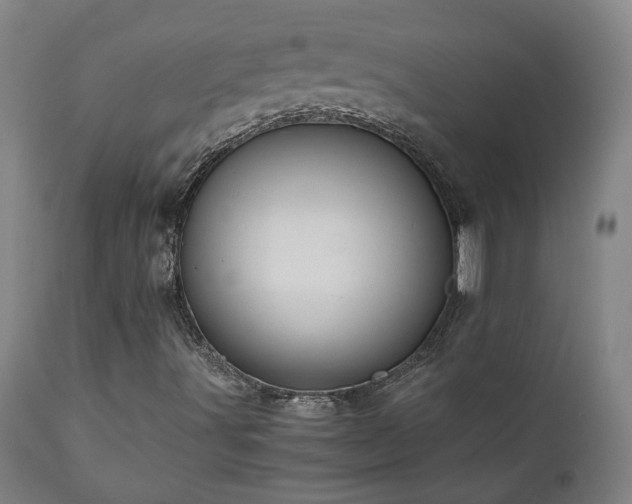 X0000111031491200906251253