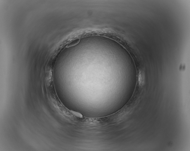X0000111031492200906251253