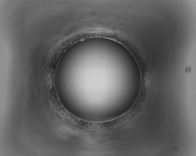 X0000111031493200906251253