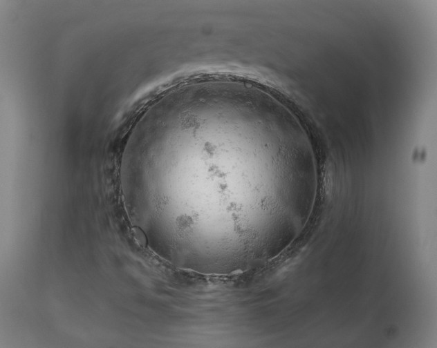X0000111031494200906251253