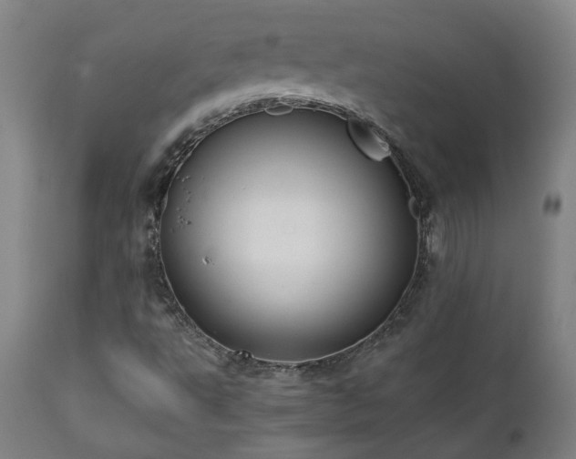X0000111031495200906251253