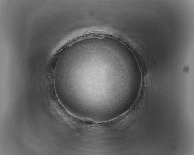 X0000111031496200906251253