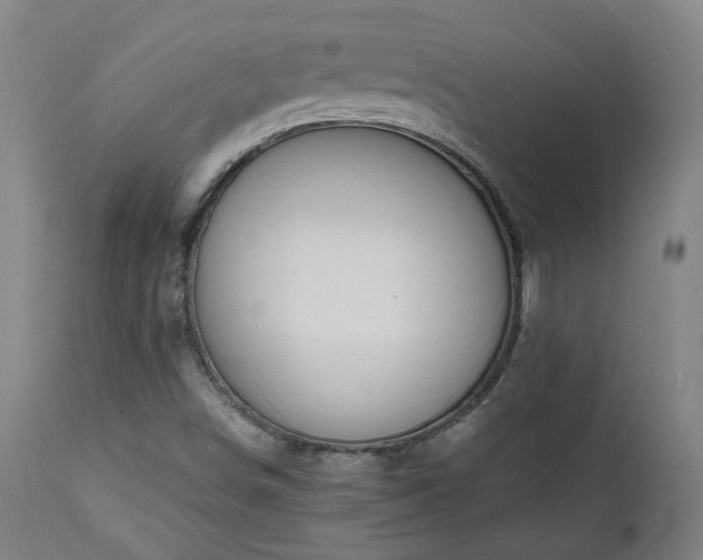 X0000111031498200906251253