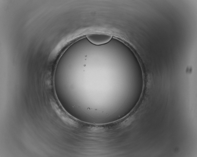 X0000111031499200906251253