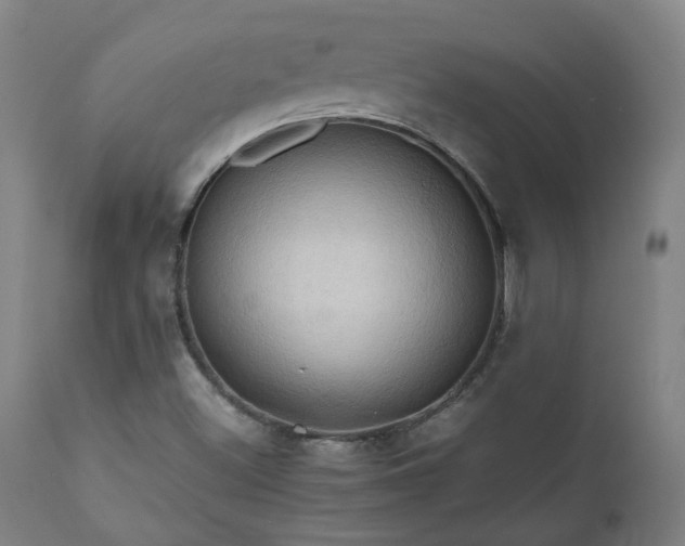 X0000111031500200906251253