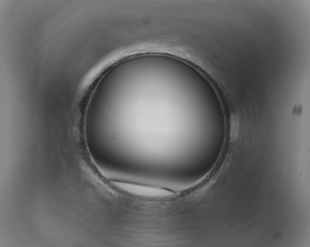 X0000111031502200906251253
