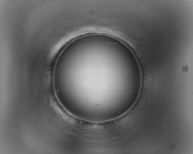 X0000111031503200906251253