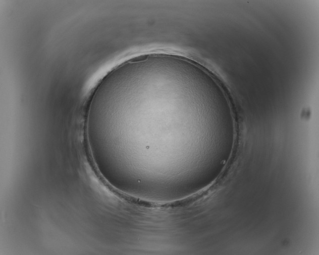 X0000111031504200906251253