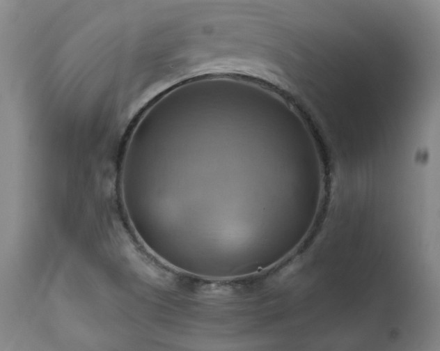 X0000111031505200906251253