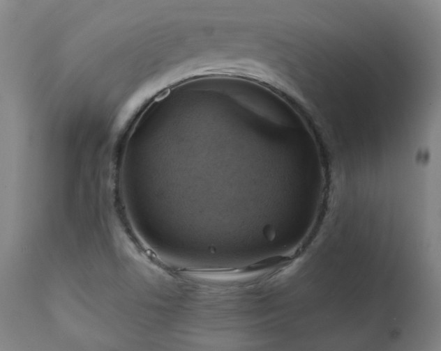 X0000111031506200906251253
