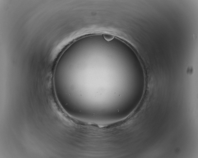 X0000111031507200906251253