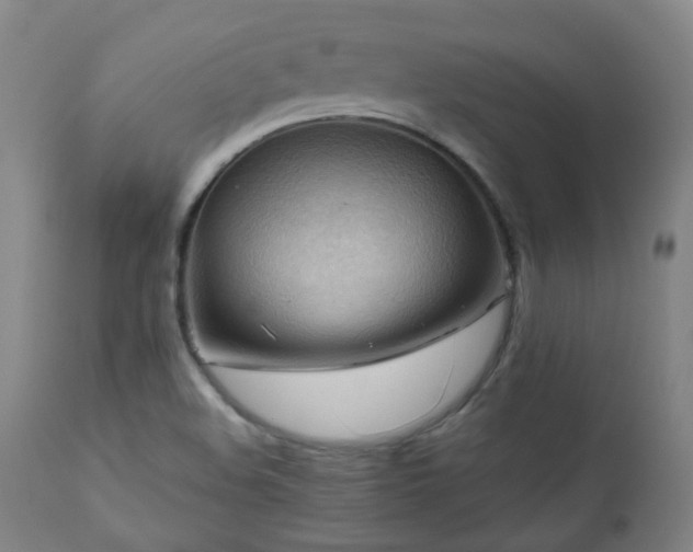 X0000111031508200906251253