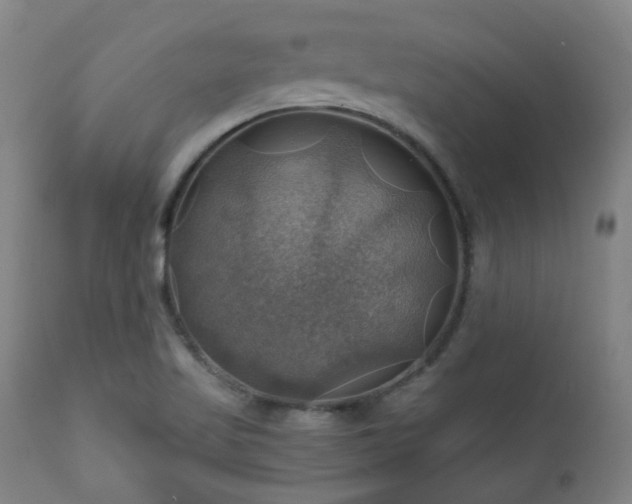 X0000111031509200906251253