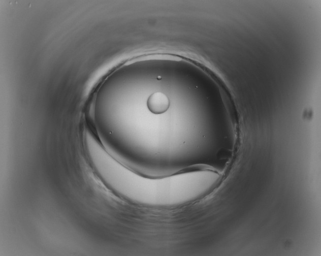 X0000111031510200906251253