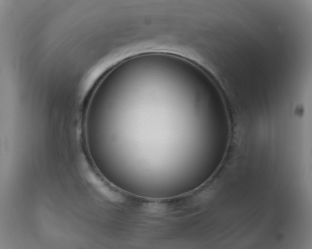 X0000111031511200906251253