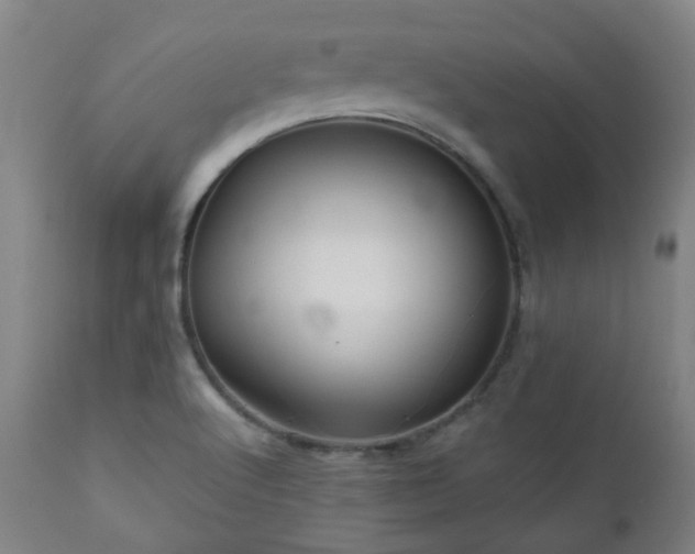 X0000111031512200906251253