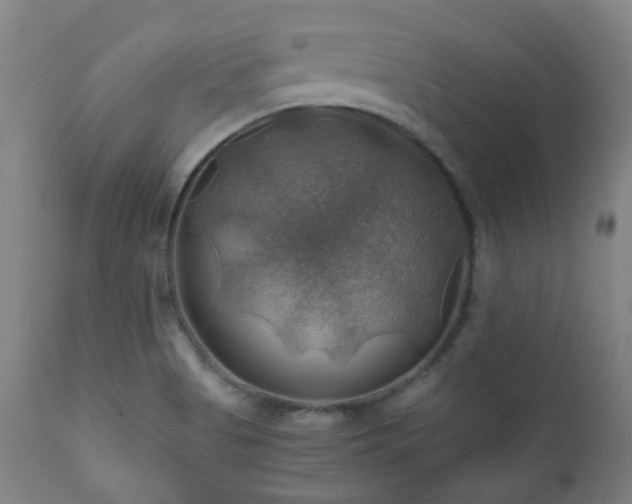 X0000111031513200906251253