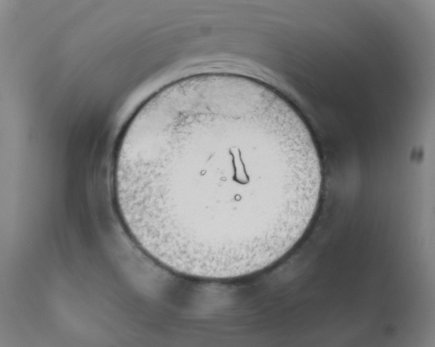 X0000111031514200906251253