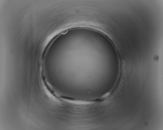 X0000111031515200906251253