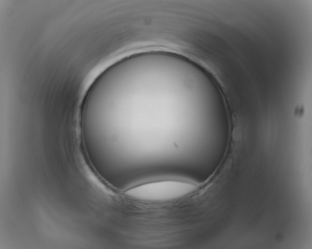 X0000111031516200906251253