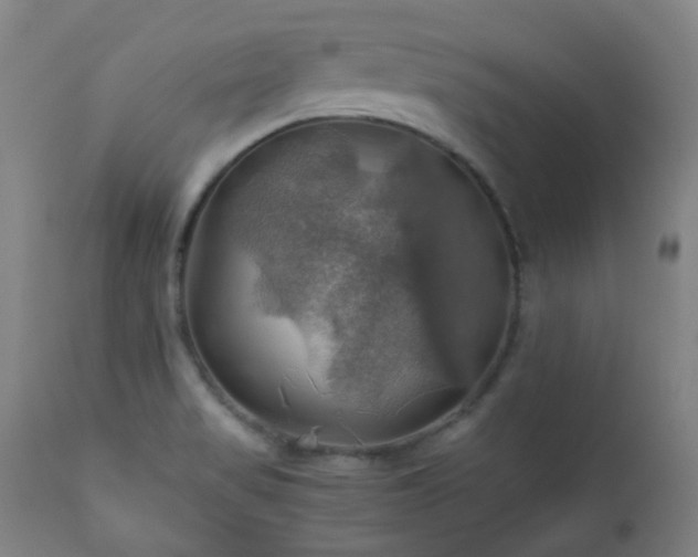 X0000111031517200906251253