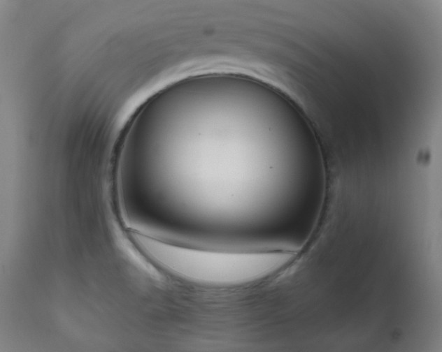 X0000111031518200906251253