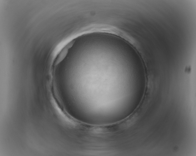 X0000111031520200906251253