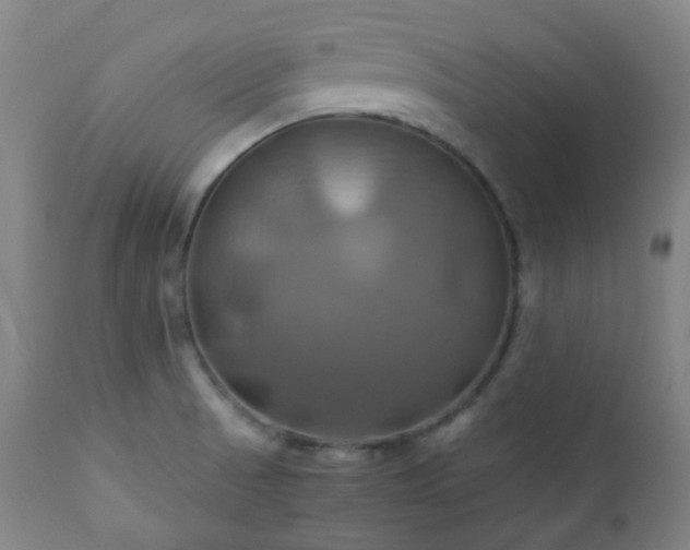 X0000111031521200906251253