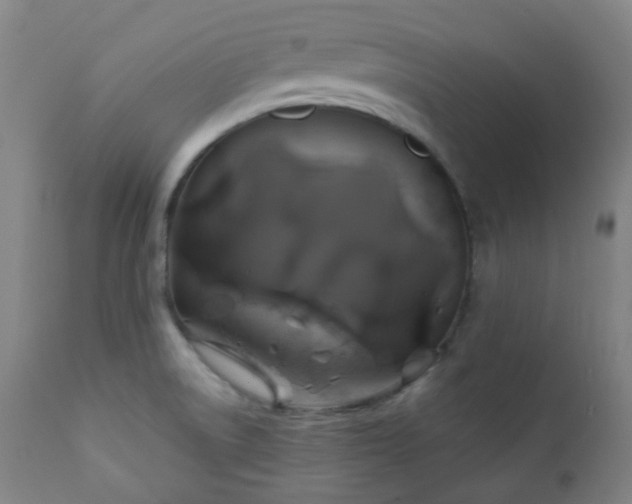 X0000111031522200906251253