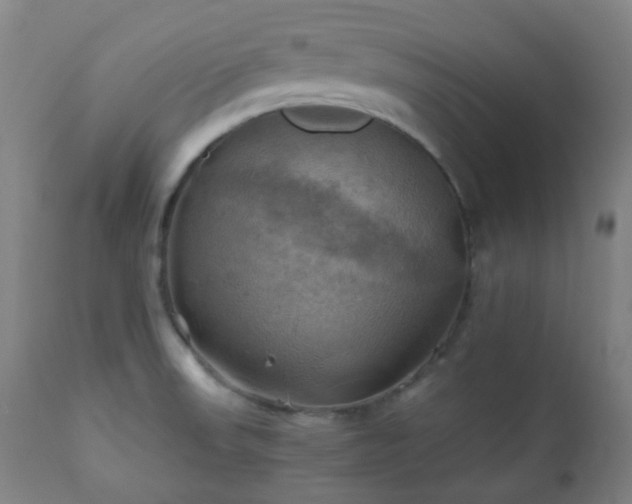 X0000111031523200906251253