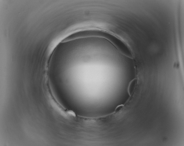 X0000111031524200906251253