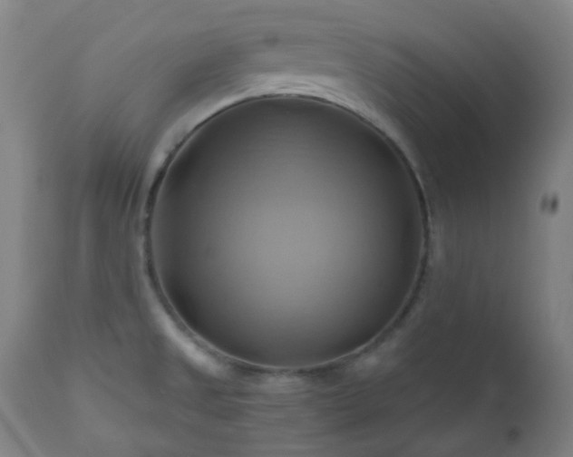 X0000111031525200906251253