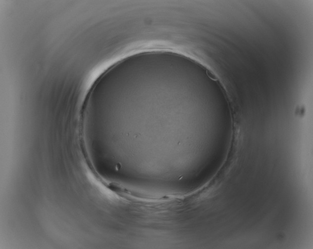 X0000111031527200906251253