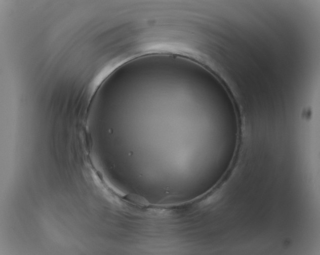 X0000111031529200906251253