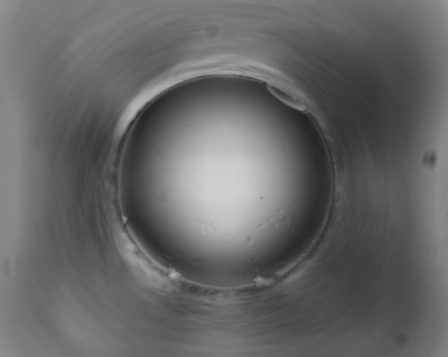 X0000111031530200906251253