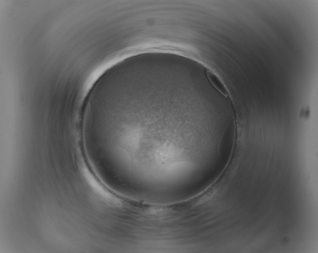 X0000111031531200906251253