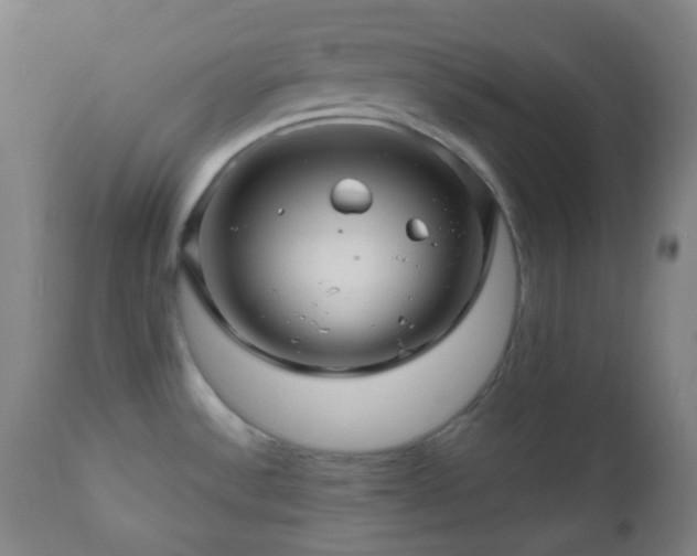 X0000111031532200906251253