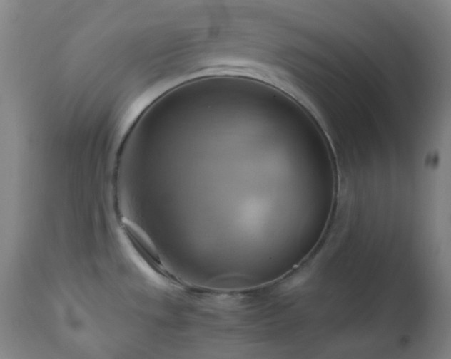 X0000111031533200906251253