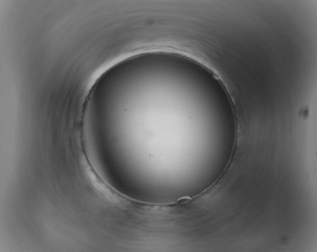 X0000111031534200906251253