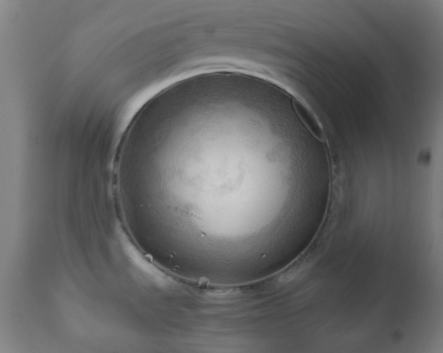 X0000111031535200906251253
